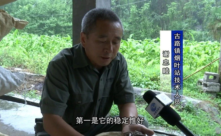 緊緊抓住木屑造粒機(jī)生物質(zhì)顆粒燃料加工場地建設(shè)項(xiàng)目落地的契機(jī)，找準(zhǔn)結(jié)合點(diǎn)，推動(dòng)共和綜合服務(wù)型煙農(nóng)專業(yè)合作社與生物質(zhì)顆粒燃料加工廠的緊密合作.jpg