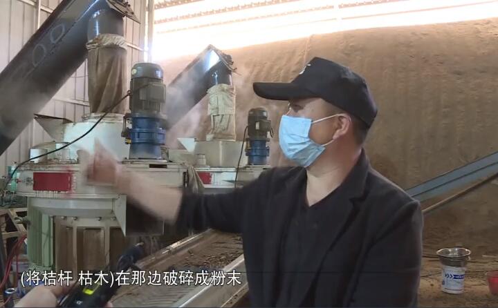 將桔桿、枯木在那邊破碎成粉末，然后經過這兩個造粒機的碾壓，形成這種顆粒燃料出來，形成最后的產品.jpg
