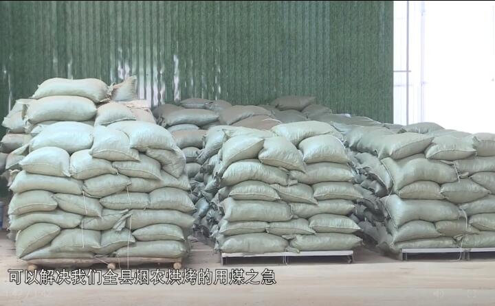 造粒機生產下來的生物質燃料顆粒，可以解決全縣煙農烘烤的用煤之急，用它替代煤來烤煙，可以解決2萬畝烤煙的烘烤燃料.jpg