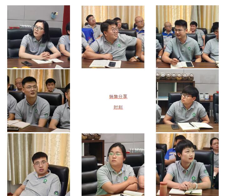 銷售精英們結(jié)合自己特點(diǎn)進(jìn)行工作匯報(bào)。.jpg